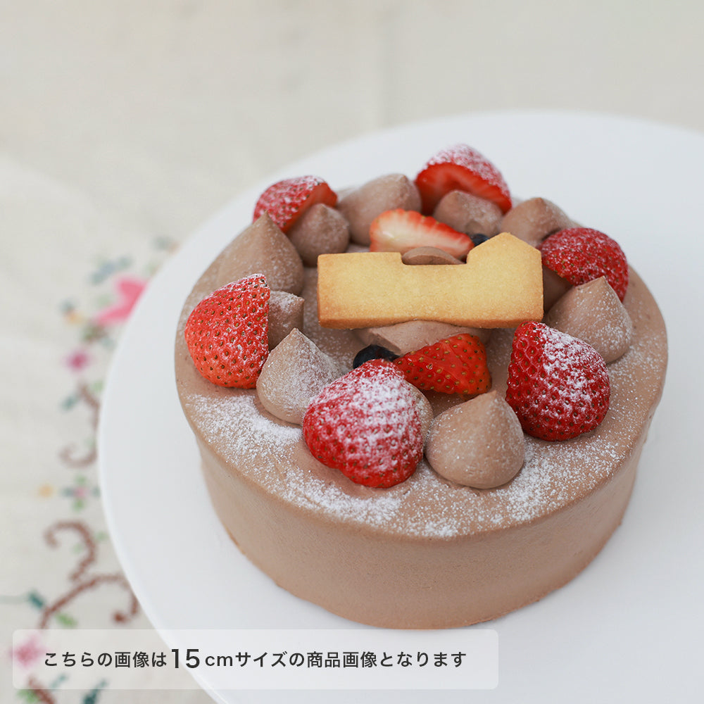 生チョコデコレーション 12㎝